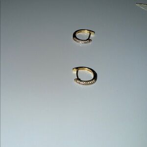 Elegant Gold Hoop Earrings